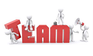 ��ϵ����