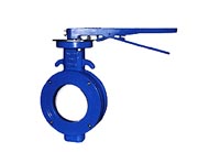 D72X�Լе�ƫ�ĵ���