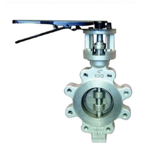 D315WF美标高性能凸耳蝶阀