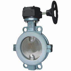 D371F46衬氟对夹蝶阀