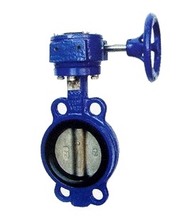 D371X对夹蜗轮蝶阀