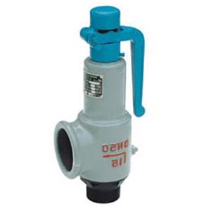 A42Y����ȫ�����ʽ��ѹ��ȫ��